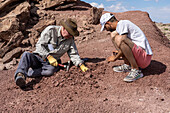Paleontologists working in excavation site