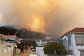 Summer wildfire, Western Cape, South Africa