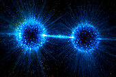 Binary neutron stars, illustration