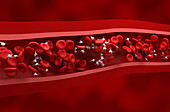 Red blood cells and platelets, illustration