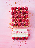 Strawberry ice cream cake with nut crunch