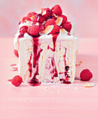 Coconut pavlova with raspberries