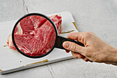 Meat under the magnifying glass