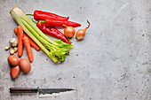 Ingredients for vegetable ragout, peppers, potatoes, carrots, celery, onions, garlic