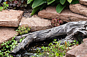 Kleiner Gartenteich mit Holz und Steinumrandung