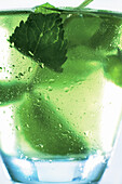 Mojito with mint, close-up