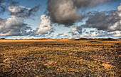 Karge Landschaft mit sanften Hügeln im Hintergrund, Island