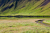Kleiner malerischer See am Fuße eines Berghangs, Island