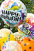 Several 'Happy Birthday" and colorful helium-filled balloons in an outdoor setting