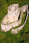 Frankreich, Val d'Oise, Parc Naturel Regional du Vexin Francais, La Roche Guyon, beschriftet mit Les Plus Beaux Villages de France (Die schönsten Dörfer Frankreichs), der mittelalterliche Bergfried (Luftaufnahme)