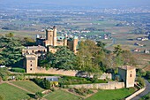 Frankreich, Rhone, Region Beaujolais, das Weinschloss Montmelas Saint Sorlin (Luftaufnahme)