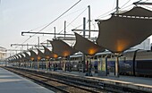 France, Paris, train platforms of Lyon station