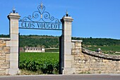 France, Cote d'Or, Burgundy climates listed as World Heritage by UNESCO, Cote de Nuits, vineyards in Clos Vougeot, gate at dusk (Burgundy)