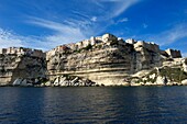 Frankreich, Corse du Sud, Bonifacio, die Altstadt oder Oberstadt, die auf über 60 Meter hohen Kalksteinfelsen thront