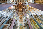 Spanien, Katalonien, Barcelona, & 200b; & 200b;Stadtteil Eixample, Kathedrale Sagrada Familia des Architekten Antoni Gaudi, UNESCO-Weltkulturerbe