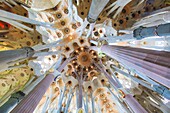 Spain, Catalonia, Barcelona, & 200b; & 200b;Eixample district, Cathedral of Sagrada Familia by architect Antoni Gaudi, UNESCO World Heritage site