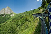 Switzerland, Canton of Vaud, Montreux, cogwheel train bound for the rock of Naye in the pastures of Paccot and tooth of Jaman
