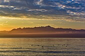 Switzerland, Canton of Vaud, Morges, lights effect on Lake Geneva and Chablais mountains at sunrise