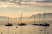 Schweiz, Kanton Waadt, Morges, Lichteffekt auf dem Genfersee und verankerte Segelboote und das Chablais-Massiv bei Sonnenaufgang