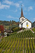 Switzerland, Canton of Vaud, Nyon, vineyard and village of Féchy