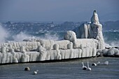 Schweiz, Kanton Waadt, Versoix, das Ufer des Genfer Sees bei sehr kaltem Wetter, der Steg ist mit Eis bedeckt, das von der Gischt aufgewirbelt wird