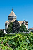 Schweiz, Kanton Waadt, das Schloss von Vufflens inmitten von Weinbergen