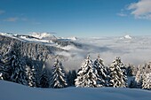 France, Haute Savoie, massif Chablais, Samoens, Grand Massif, Saix plateau westward and the chain of Bargy