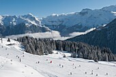 France, Haute Savoie, massif Chablais, Samoens, Grand Massif, the slopes of the plateau Saix and the massif of Haut Giffre