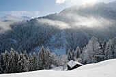 Frankreich, Haute Savoie, Chablais-Massiv, Samoëns, Grand Massif, Almhütte unter dem Schnee