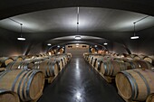 Schweiz, Wallis, Val d'Anniviers, Genossenschaftskellerei von Saint Jodern Kellerei in Unterstalden keltert Wein von den höchsten Rebstöcken in Europa