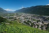 Switzerland, Valais, Martigny, the city dominated by very steep vines