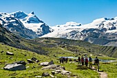 Schweiz, Wallis, Zermatt, an der Bergstation der Seilbahn Blauherd, der Stellisée-See, und das Strahlhorn
