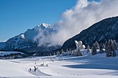 France, Haute Savoie, Bornes massif, Plateau des Glieres, cross country ski trails, the national monument of the resistance of Emile Gilioli and the peak of Jalouvre