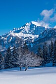 France, Haute Savoie, Bornes massif, Plateau des Glieres, the northeastern part of the plateau and the peak of Jalouvre