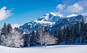 France, Haute Savoie, Bornes massif, Plateau des Glieres, panoramic view of the northeastern part of the plateau and the peak of Jalouvre