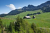 France, Haute Savoie, massif des Aravis, plateau des Glieres, randonnée vers la tête Ronde, passage vers notre dame des Neiges