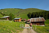 France, Haute Savoie, massif des Bornes, Glieres plateau, hiking to the rock Parnal, hamlet of alpage des Mouilles