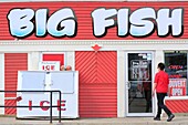 Canada, New Brunswick, Acadie, Westmorland County, Shediac (Self-proclaimed Lobster Capital of the World), Big Fish, Fish Market Selling Lobster