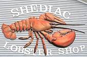Kanada, New Brunswick, Acadie, Westmorland County, Shediac (selbsternannte Hummerhauptstadt der Welt), Shediac Lobster Shop, Verkäufer von frischem Hummer