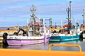 Kanada, New Brunswick, Acadie, Grafschaft Gloucester, Shippagan, Fischereihafen