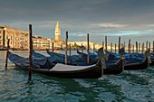 Italy, Veneto, Venice listed as World Heritage by UNESCO, San Marco district, view of the facades of Riva degli Schiavoni from the Punta della Dogana, Saint Marc campanile, Palazzo Ducale (Doge's plalace)