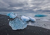 Island, Südliche Region, Jokulsarlon-Gletscher