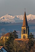 Frankreich, Puy de Dome, Billom, Kirche Saint Loup, Regionaler Naturpark Livradois Forez, Parc naturel régional Livradois Forez