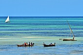 Tanzania, Zanzibar, Jambiani