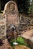 Frankreich, Meurthe et Moselle, oberhalb von Badonviller und Celles sur Plaine, Col de la Chapelotte, Brunnen, erbaut von Soldaten des 338th R. I. während des Ersten Weltkriegs