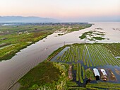 Myanmar (Burma), Shan State, Inle Lake, Kela Floating Gardens (aerial view)