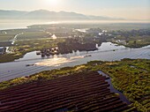 Myanmar (Burma), Shan State, Inle Lake, Kela Floating Gardens (aerial view)