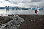 Grönland, Westküste, Insel Disko, Qeqertarsuaq, Wanderer am Strand und Eisberge im Hintergrund