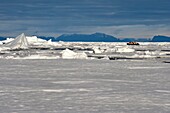 Greenland, North West coast, Smith sound north of Baffin Bay, broken pieces of Arctic sea ice and an exploration zodiac of the MS Fram cruse ship from Hurtigruten