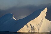 Greenland, North West coast, Murchison sund, iceberg off Kiatak (Northumberland Island)